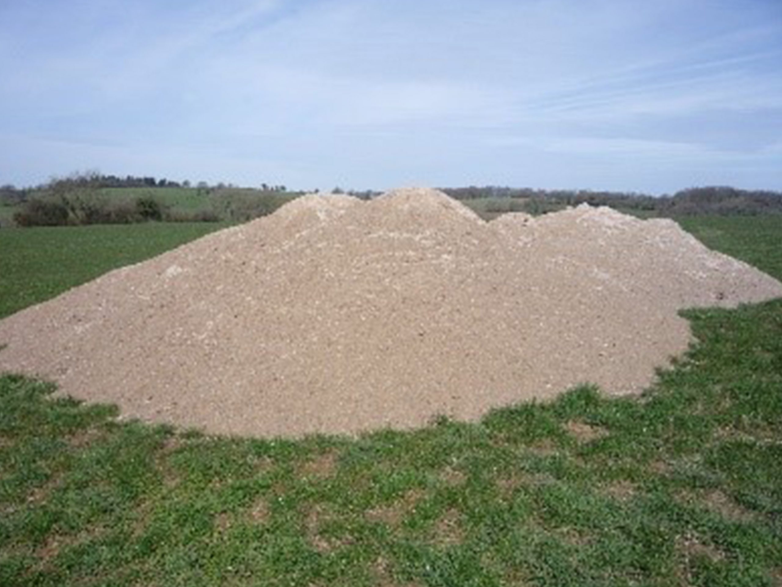 2a LimeReplacements_Photo1a