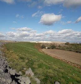 New 4R Permit Allows Use of CLO on Previously Restored Land